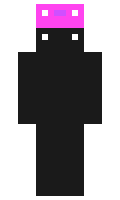 aykuzo minecraft skin