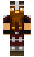 Amour minecraft skin