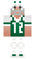 b8188a6a9bba17 minecraft skin