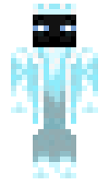 1cey20 minecraft skin