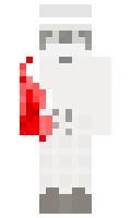 Wayzerfx minecraft skin