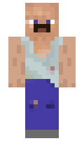 Toxsel minecraft skin