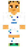 cool123suii minecraft skin