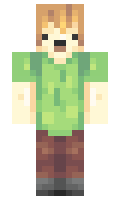 PappaBlaze minecraft skin