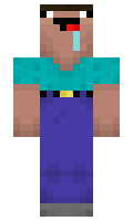 b8e0f309cb205c minecraft skin