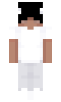 b8e4be3ff8f53b minecraft skin