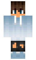 RadovanTV minecraft skin