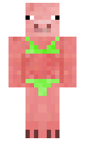 GameDolphin minecraft skin