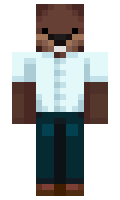 Creatief minecraft skin