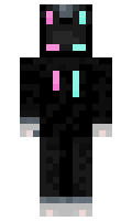 QuisneyLand minecraft skin