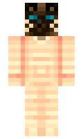 antfrost minecraft skin