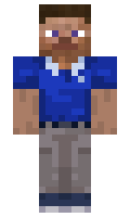 b920f8179cf9df minecraft skin