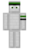 tison minecraft skin