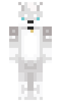 DerKleinStein minecraft skin