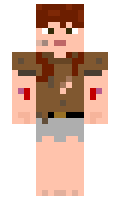 csd minecraft skin