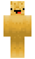 b9b63894f2efea minecraft skin