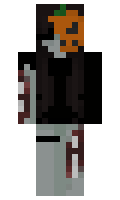 b9e22dbaa207d7 minecraft skin