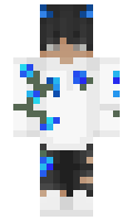 goky minecraft skin