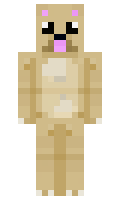 b9ed4ca391ad3c minecraft skin