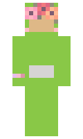 Dipsy minecraft skin