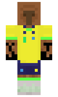 KAROL201400110 minecraft skin