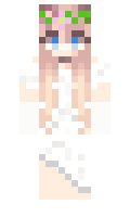 ba223cbb1c9335 minecraft skin