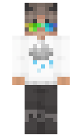 ba2750fc2e203c minecraft skin