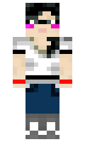 ba2c20c4fba1f9 minecraft skin
