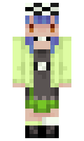 ZIPpaket minecraft skin