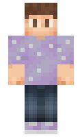 Allin minecraft skin