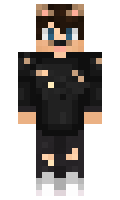 ActiveCrafter minecraft skin