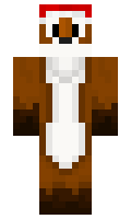 testrgames minecraft skin