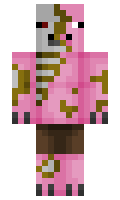 Eartherun minecraft skin