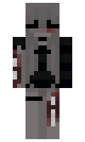 bac43a0d79593f minecraft skin