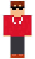 derpylizard minecraft skin