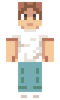 badb76103c06bd minecraft skin