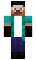 adityar minecraft skin