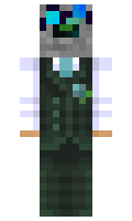 baed8867aef498 minecraft skin