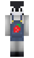 PLUGIN minecraft skin
