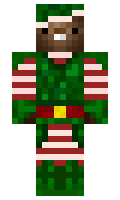 bb13f80b0b2afe minecraft skin