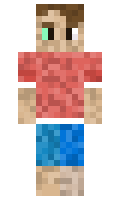 bb1e234bfc8d62 minecraft skin