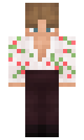 bb21ba366f67c1 minecraft skin