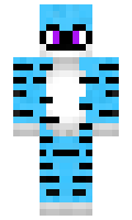 Verwarmingman minecraft skin