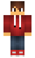 Punsh minecraft skin