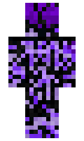 Aidandude11 minecraft skin