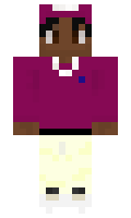 hist minecraft skin