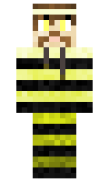 wannes minecraft skin