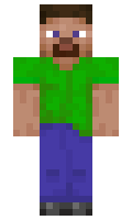bbaf0fac499aa7 minecraft skin