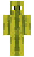 x1ro minecraft skin