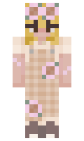 bbf5e783c2a4c1 minecraft skin